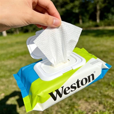 How to stay clean while camping with no shower?