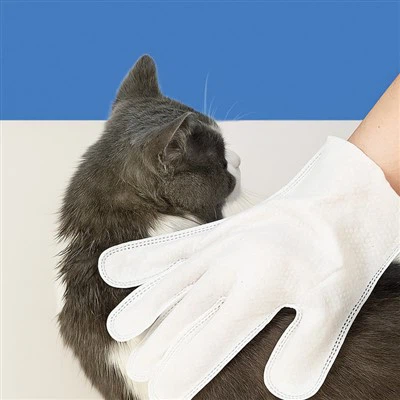Rinse-Free Pet Cleaning Gloves